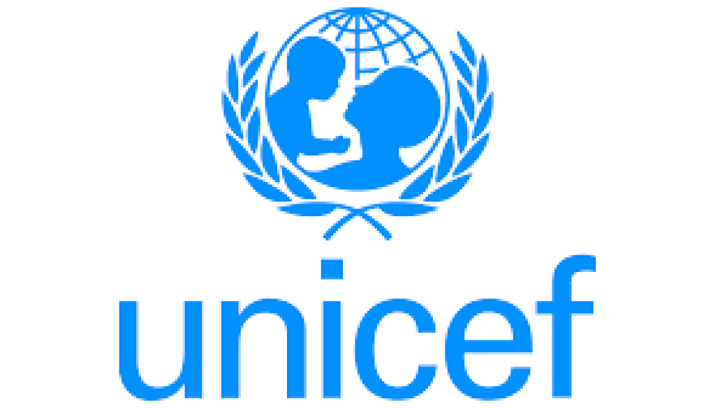Partnerships Officer Vacancy-Job Ref: EJFIUNICEF/0809/202664